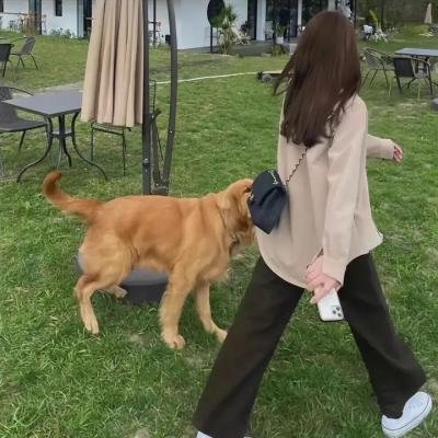 星星的孩子